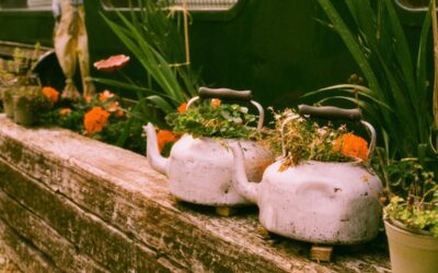 Guide: Everything you need to know about the State Pension